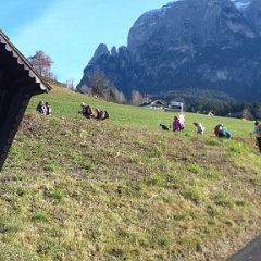 09 dic. Fié - Tuff alm